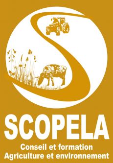 logo_scopela.jpg